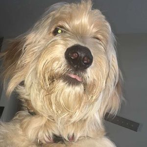 Meet your Posher, Candace